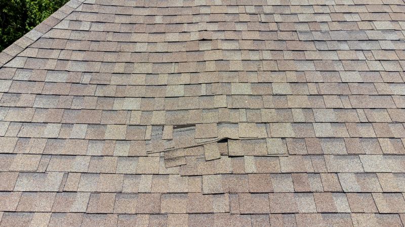 Asphalt Roof Inspection in King Of Prussia, PA