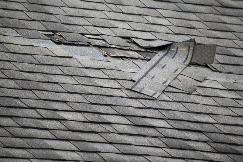 Asphalt Roof Repair in Haddonfield, NJ
