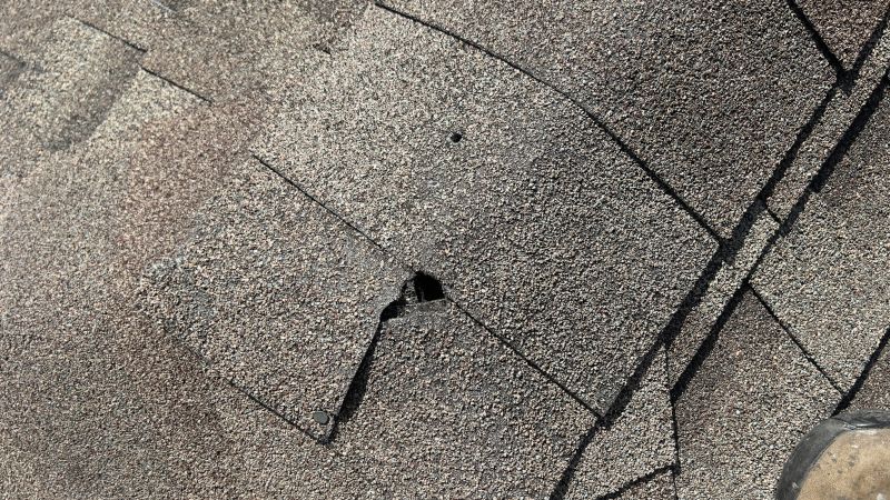 Damaged Roof Repair in Haddonfield, NJ