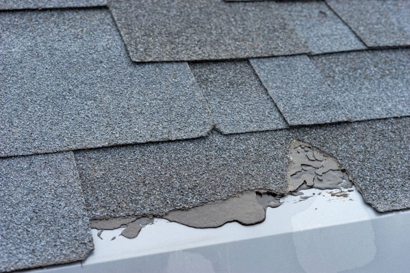 Damaged Roof Repair in Quakertown, PA