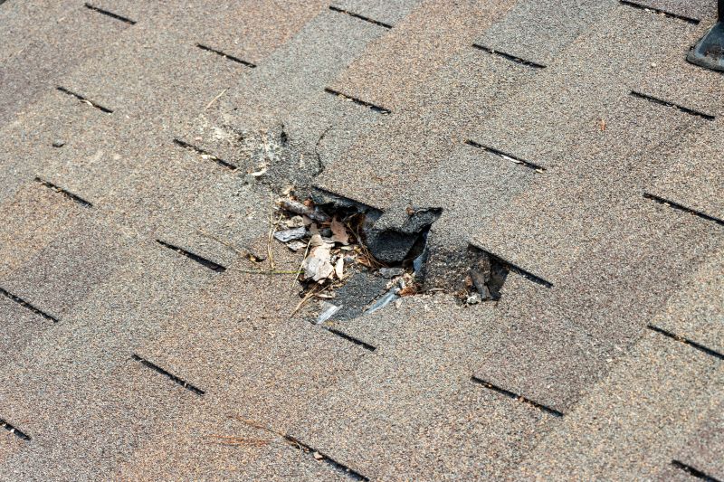 Damaged Roof Replacement in Burlington, NJ