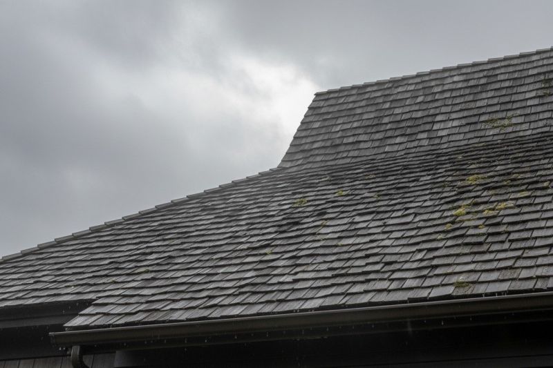 Wood Shake Roof Replacement in Dresher, PA